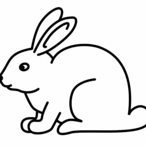 Kaninchen
