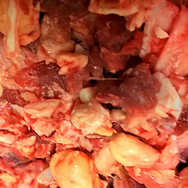 Knorpelfleisch