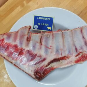 Lammrippe